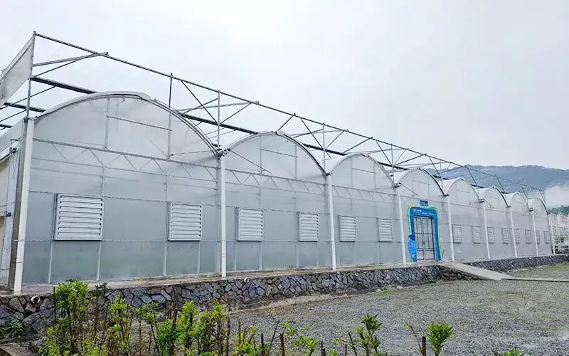 গ্রিনহাউস কি ধরণের আছে?