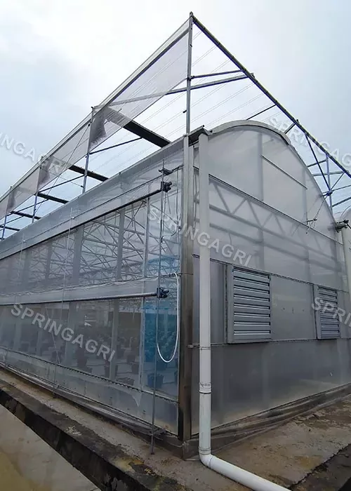 স্পেনের গ্রিনহাউস